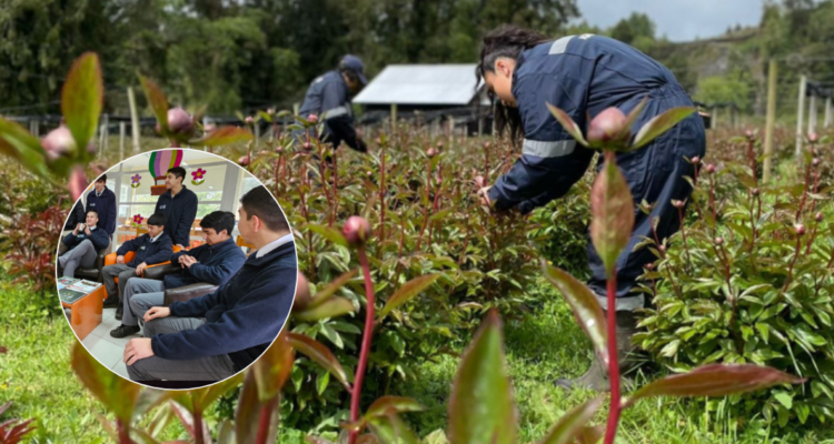 El Liceo Bicentenario People Help People, Pilmaiquén de Puyehue, ha sido nominado entre las 10 mejores escuelas del mundo en la categoría de Innovación, siendo el único establecimiento en el país en recibir el reconocimiento este 2024.