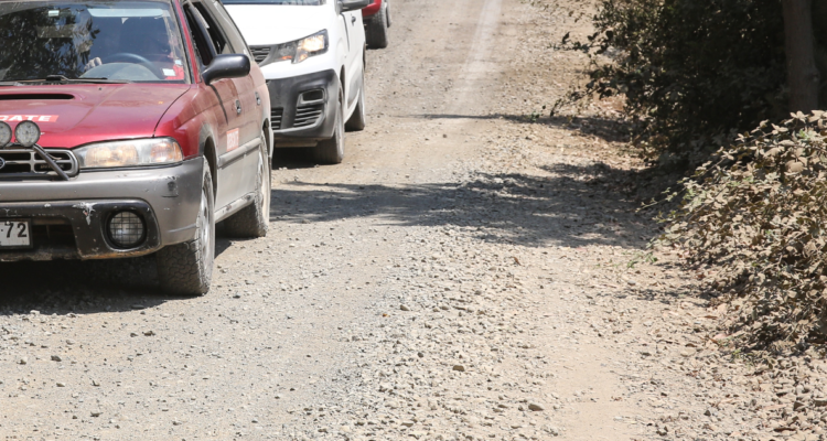 Familias en Osorno permanecen aisladas.