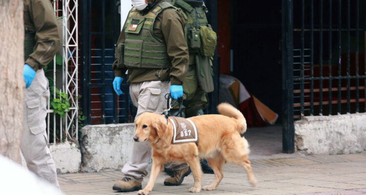 Carabineros detiene a 5 extranjeros y decomisa 122 kilos de droga en La Ligua