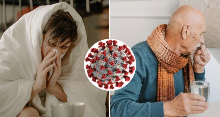 Ad portas del inicio del invierno: cómo combatir los indeseados virus respiratorios, según experto