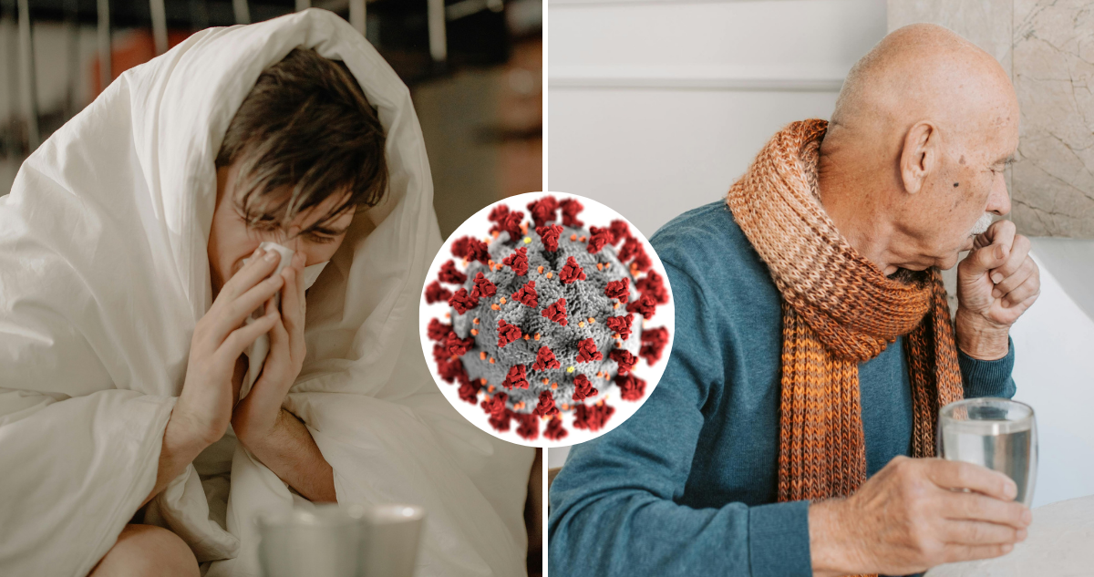 Ad portas del inicio del invierno: cómo combatir los indeseados virus respiratorios, según experto