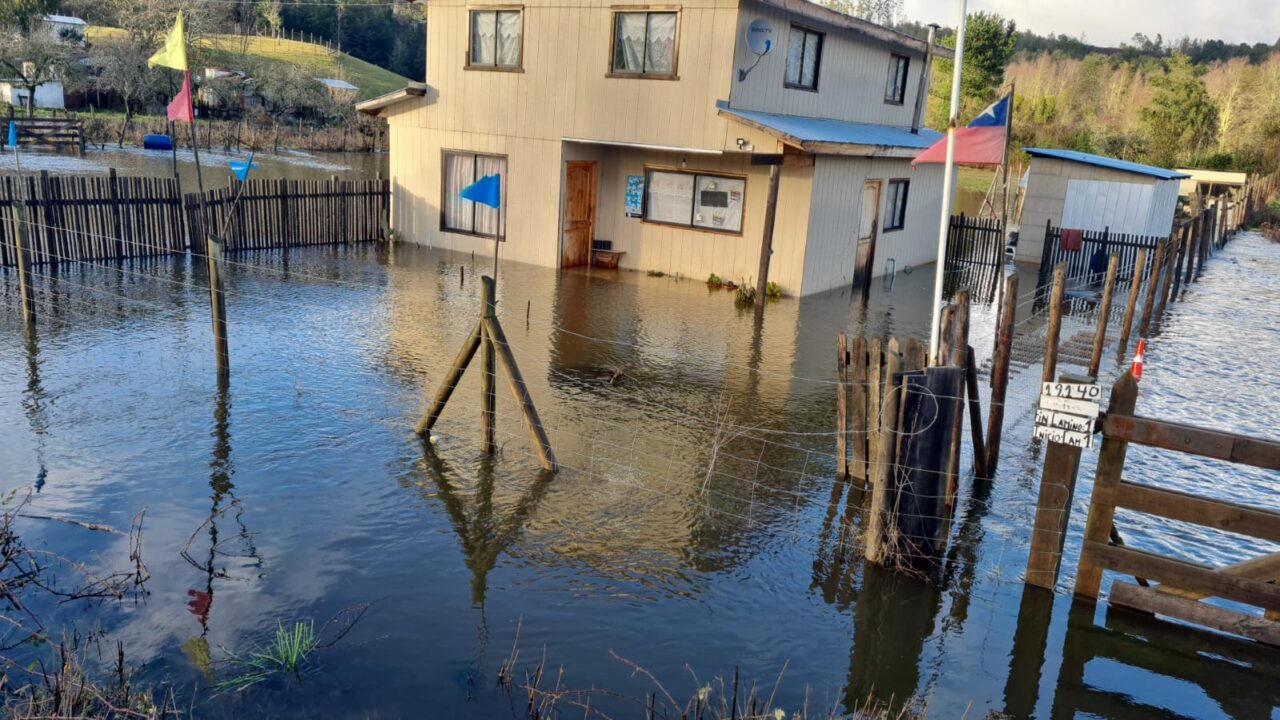 Declaran Alerta Roja para Loncoche por desborde del río Cruces: hay viviendas inundadas