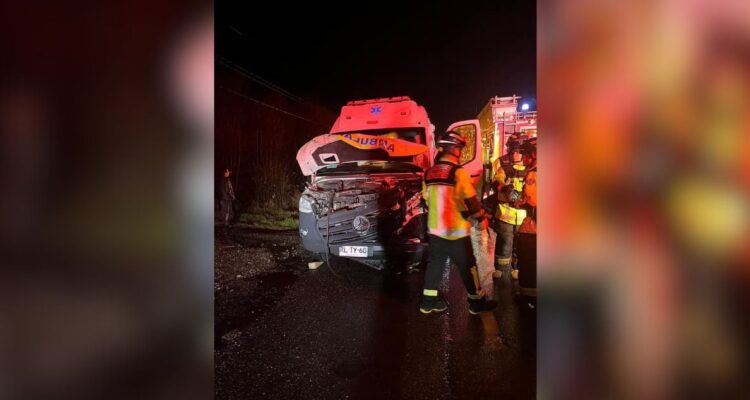 Ambulancia del hospital de Calbuco choca contra vacuno en ruta comunal: accidente no dejó lesionados