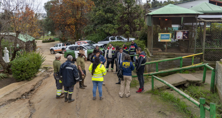 Al menos 20 ciervos y 2 pavos reales murieron tras un ataque al EcoParque de Quilpué, denunció la alcaldesa Valeria Melipillán.