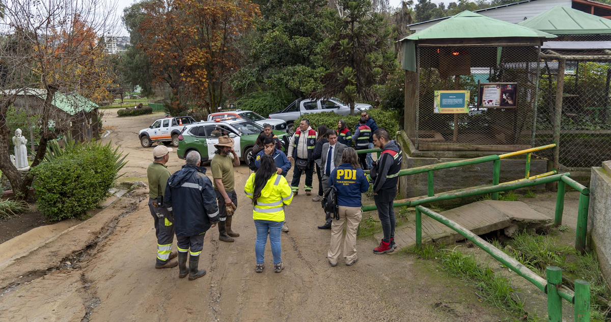 Al menos 20 ciervos y 2 pavos reales murieron tras un ataque al EcoParque de Quilpué, denunció la alcaldesa Valeria Melipillán.
