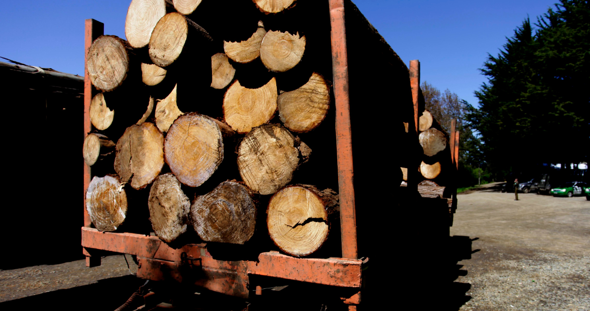Camión con madera por trabajadores forestales en La Araucanía