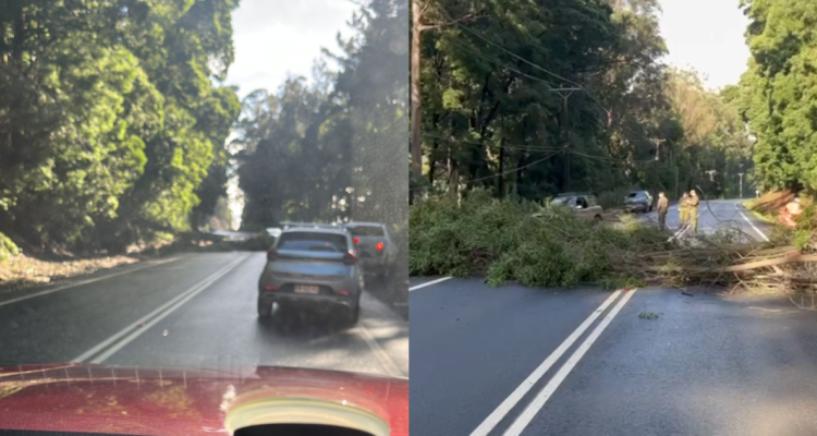 Con segregaciones por puntos críticos: MOP reabre Ruta de la Madera en la región del Bío Bío