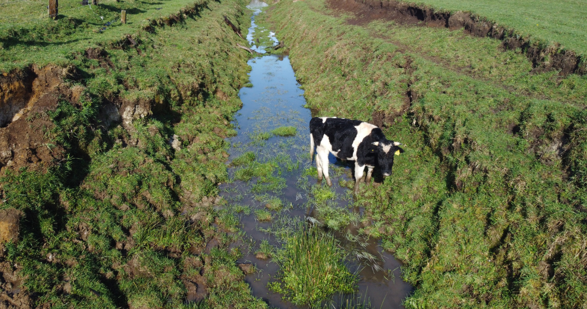 ayuda agricultores