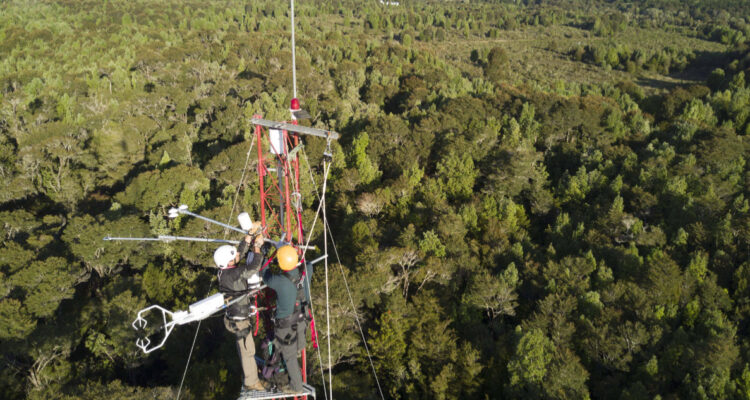 Torre de monitoreo en bosque de Chiloé