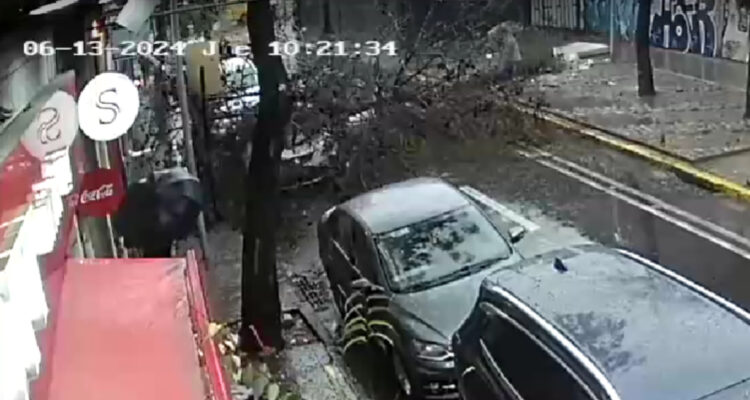 VIDEO: Árbol cae sobre una conductora y su auto en pleno centro de Santiago