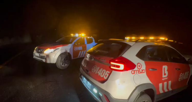 Árboles caen en Camino a Farellones e impactan a una camioneta: conductor quedó lesionado