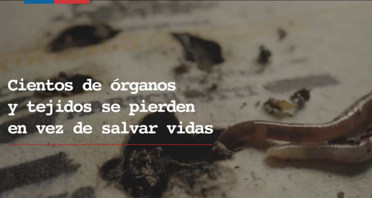gusanos campaña minsal donación de organos