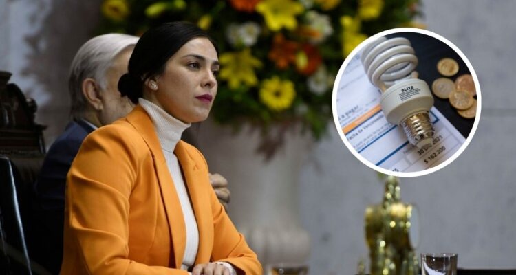 Cariola (PC) pide al Gobierno renegociar contratos ante alza en cuentas de la luz
