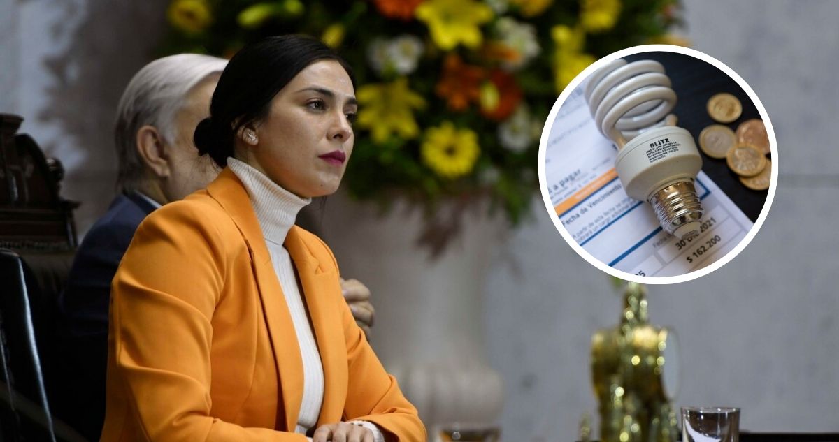 Cariola (PC) pide al Gobierno renegociar contratos ante alza en cuentas de la luz