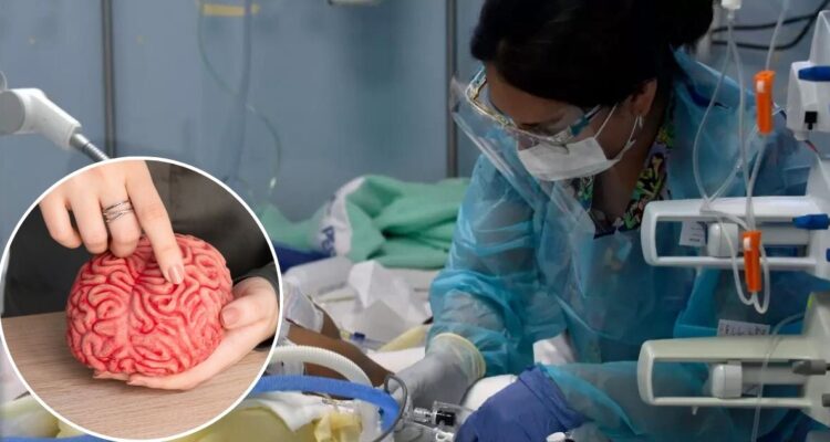 ¿Qué le pasa al cerebro durante la muerte? Descubren reacción del órgano en últimos momentos de vida