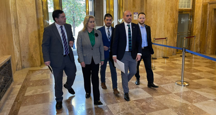 chile vamos requerimiernto indh