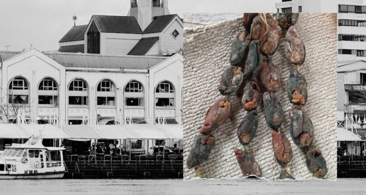 cholgas con gusano mercado fluvial valdivia