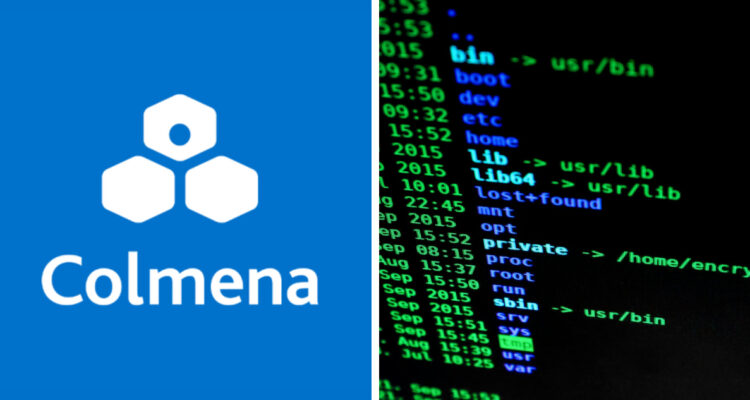 imagen contexto de cyberataque a colmena