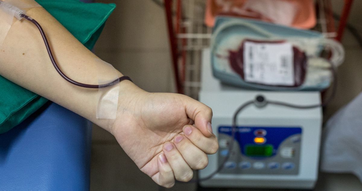 Cómo saber qué tipo o grupo de sangre soy, cómo saberlo en Chile y cómo se diferencian los diferentes grupos sanguíneos y para qué sirven.