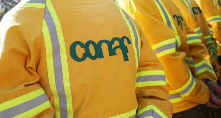 Conaf niega acusación de contrataciones políticas y burlas del director en megaincendio de Valparaíso
