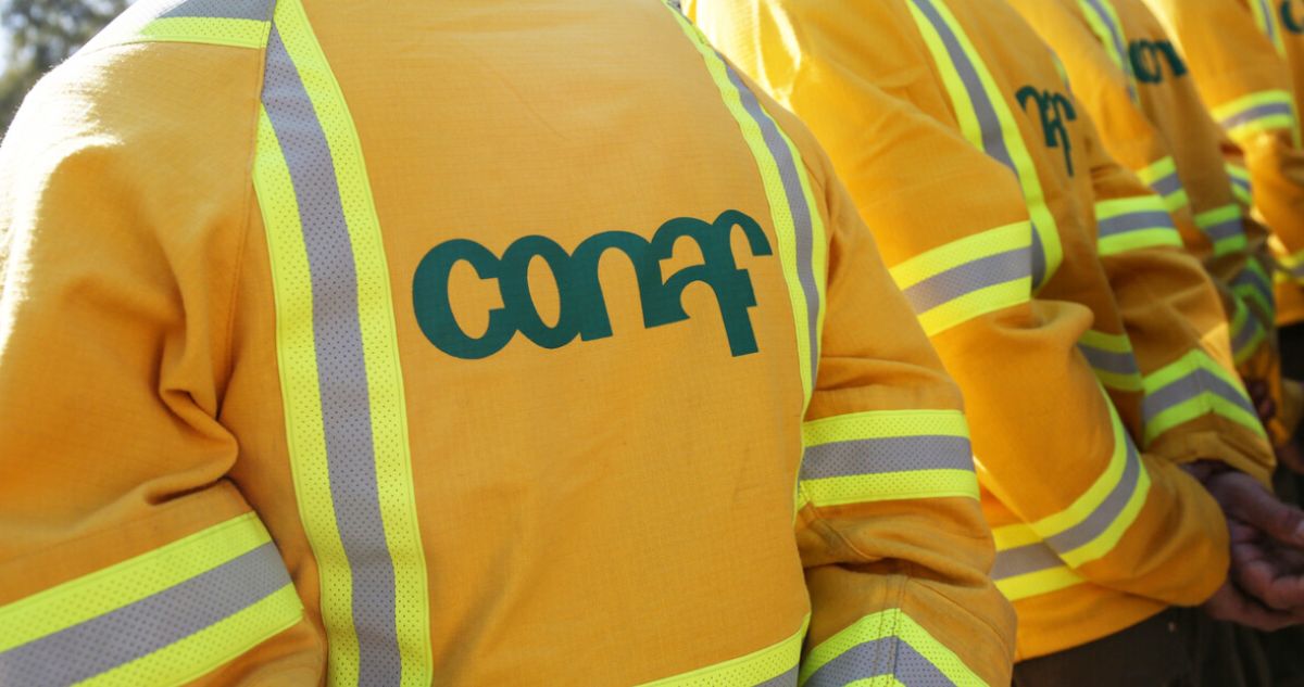 Conaf niega acusación de contrataciones políticas y burlas del director en megaincendio de Valparaíso