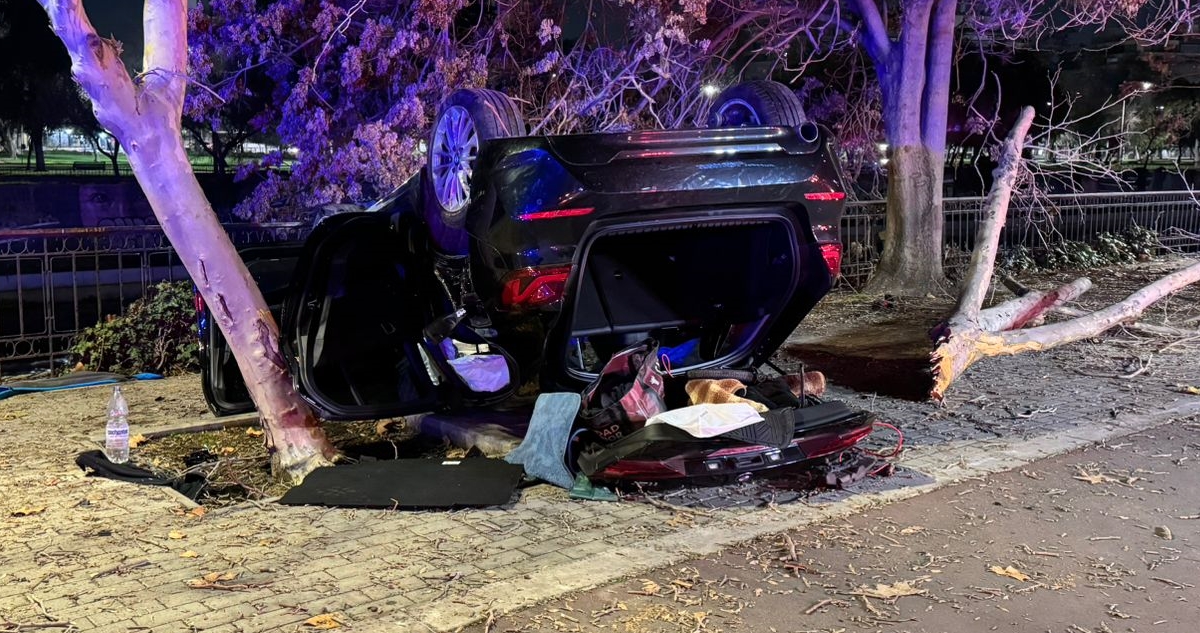 Chofer discapacitado arrasó con árboles, se volcó y quedó cerca del lecho del Mapocho en Providencia