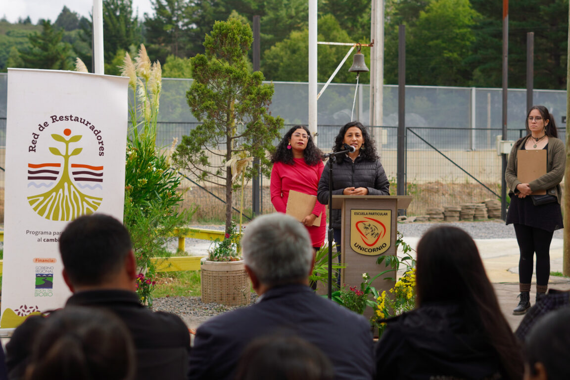 Fundación El Árbol