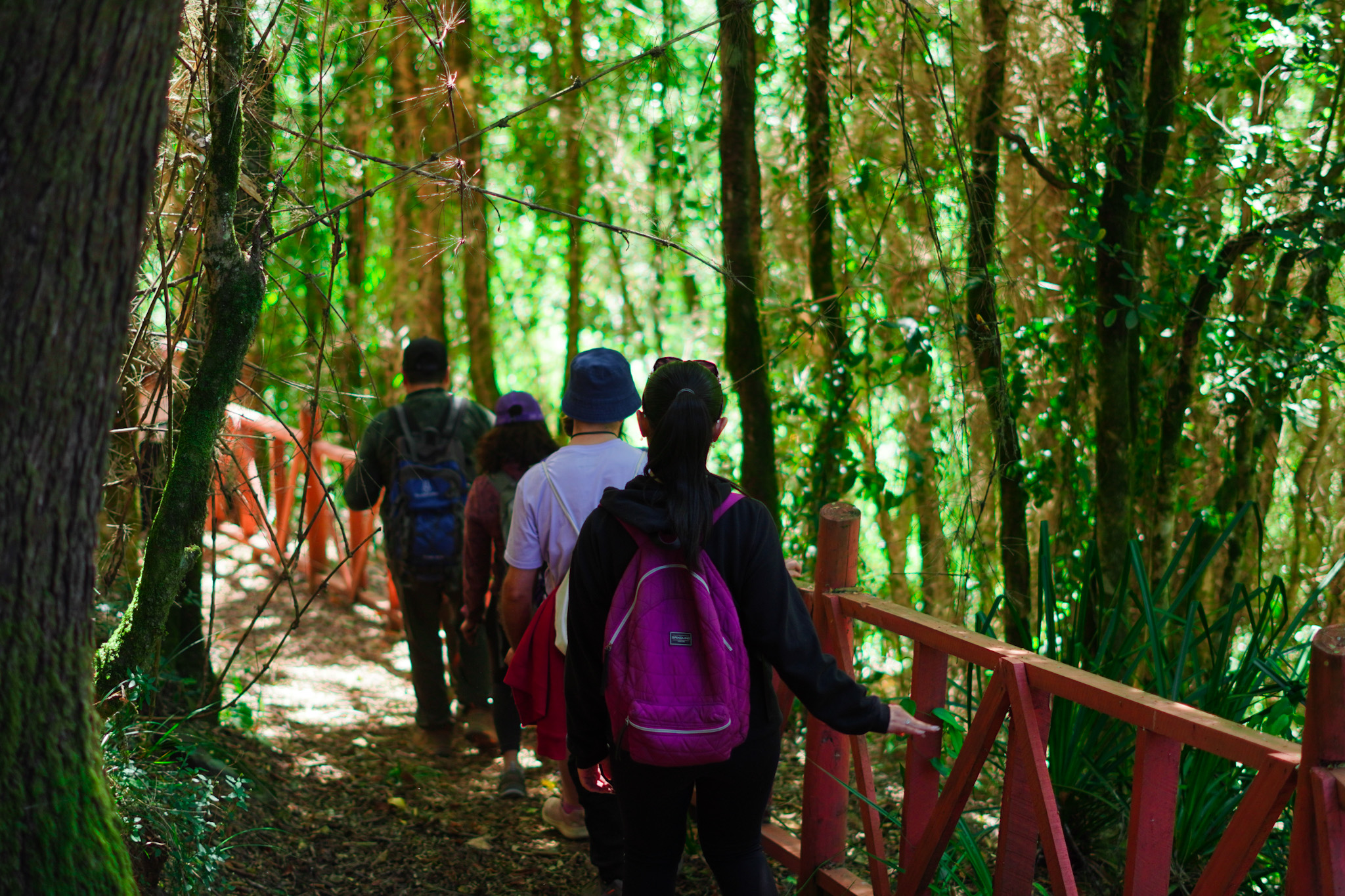 Educación ambiental y participación ciudadana como aliadas para la protección del medio ambiente