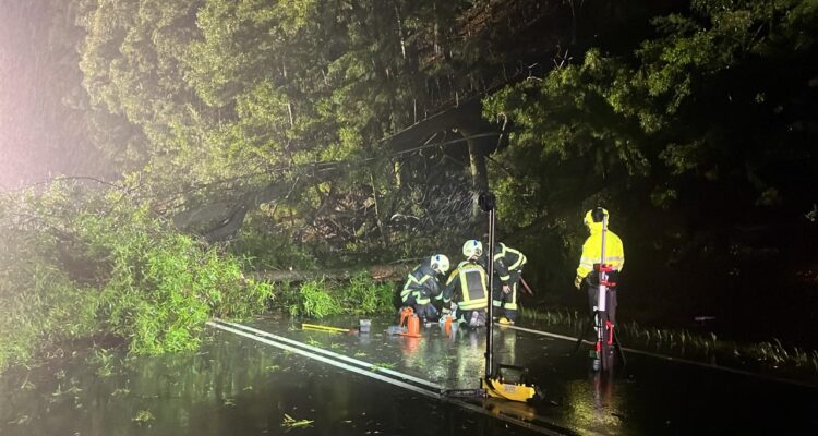 Personal de emergencia trabajando en la ruta de la madera por caída de árboles.