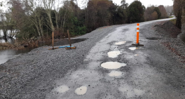 Cedida a Radio Bío Bío