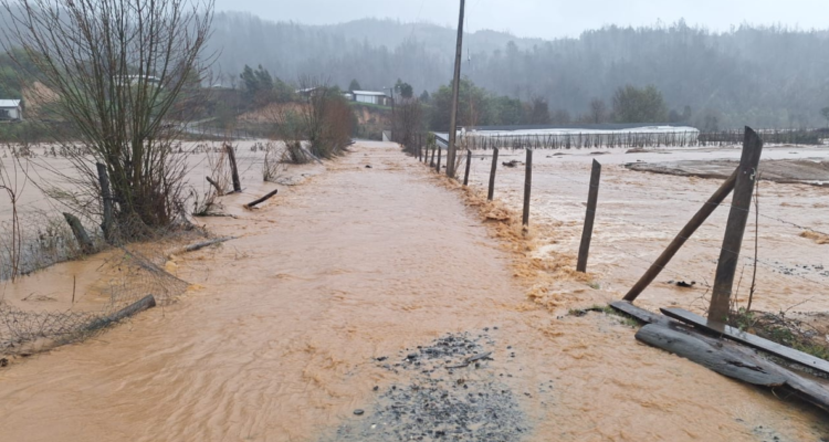Senapred ordena evacuar al menos cinco sectores por desborde de río Lía en Santa Juana
