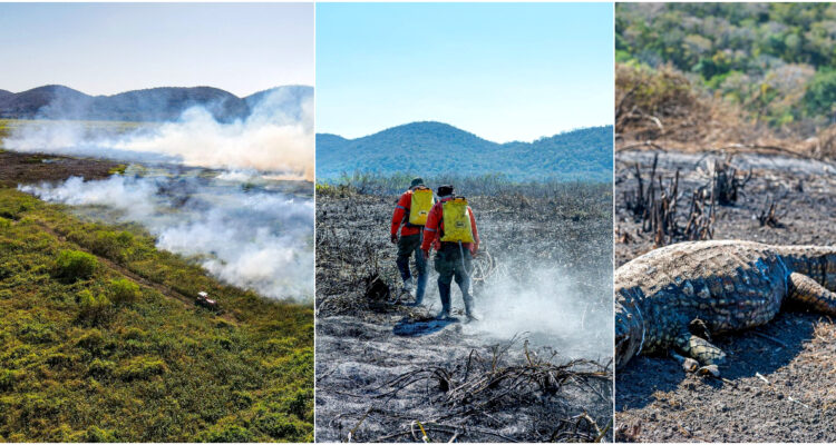 Devastador incendio en mayor humedal del mundo obliga a decretar “situación de Emergencia” en Brasil