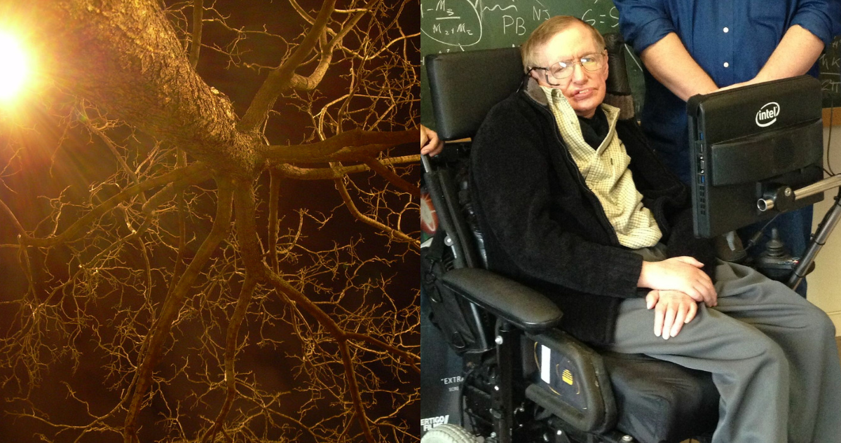 Día Mundial de la ELA: ¿cómo es y cuáles son los síntomas de la enfermedad que tenía Stephen Hawking?