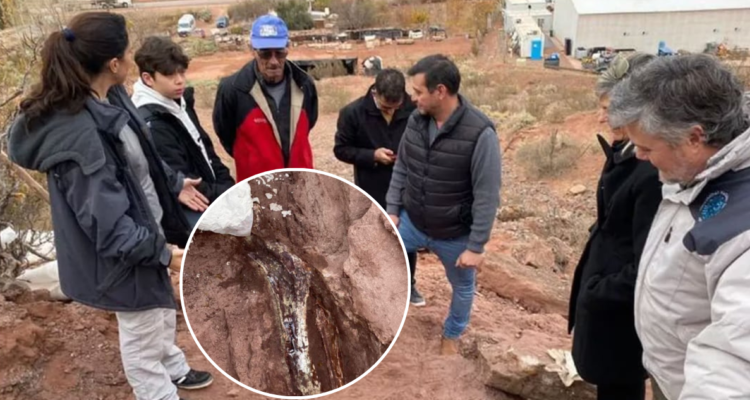 En Argentina, un niño de 12 años llamado Tiziano Muñoz descubrió huesos de un dinosaurio de gran tamaño en el fondo de la casa de su abuelo.