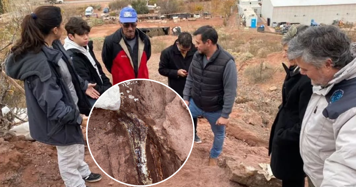 En Argentina, un niño de 12 años llamado Tiziano Muñoz descubrió huesos de un dinosaurio de gran tamaño en el fondo de la casa de su abuelo.