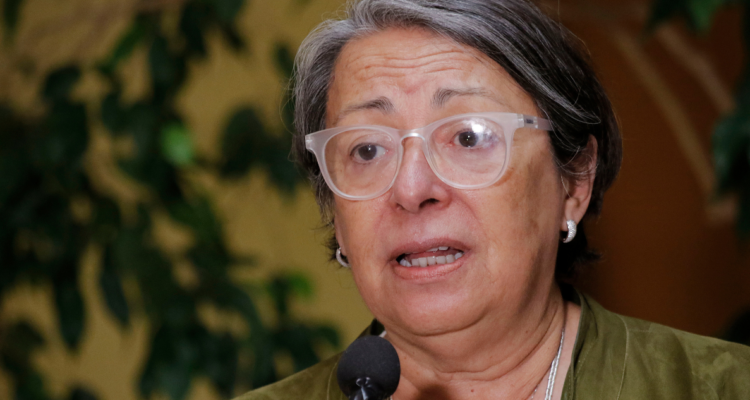 directora indh violaciones sistematicas