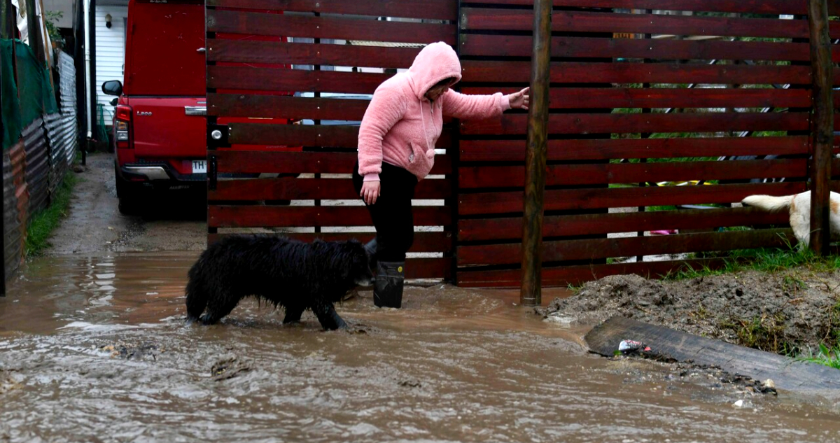 Directora Senapred por lluvias: “Este viernes caerán últimas precipitaciones y aplicaremos ficha FIBE”