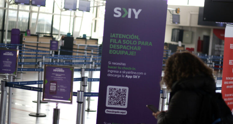 Comisión de Discapacidad de la Cámara pide a DGAC informar protocolos tras polémico caso de pasajera