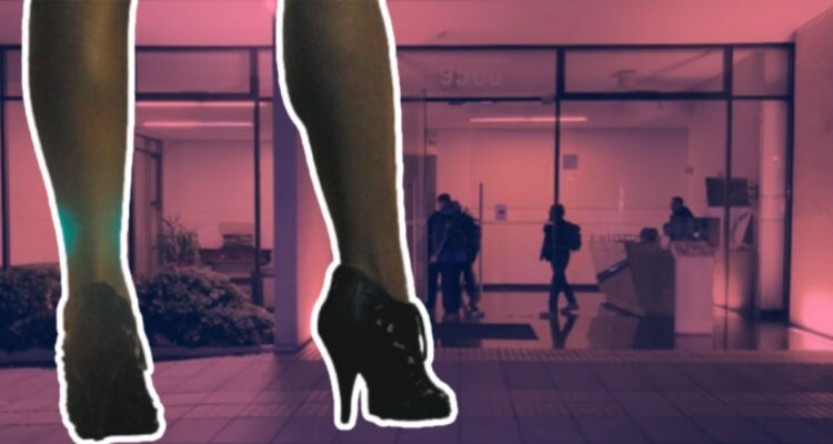 Resultaron con mordeduras y fracturas: lo que se sabe de violento robo a escorts en Las Condes