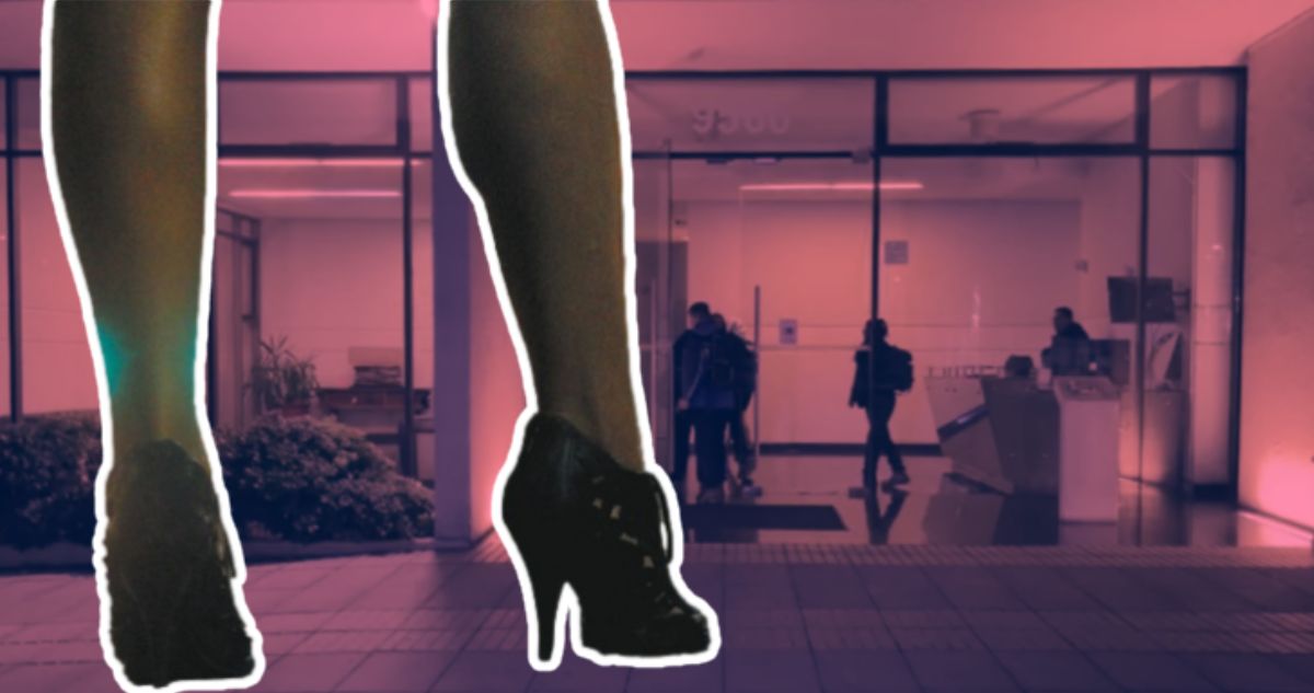 Resultaron con mordeduras y fracturas: lo que se sabe de violento robo a escorts en Las Condes