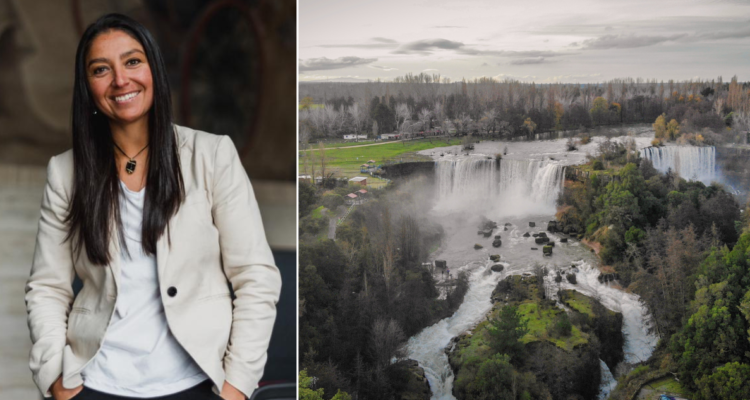 region del biobio dia del medioambiente