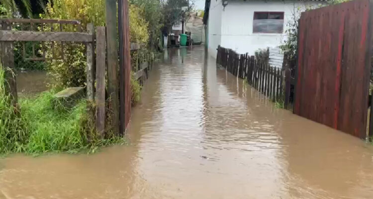 Al menos 12 casas afectadas por inundaciones en sector El Rosario en María Pinto