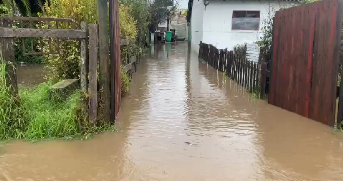 Al menos 12 casas afectadas por inundaciones en sector El Rosario en María Pinto
