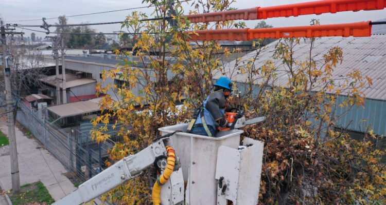 Enel Distribución triplica trabajos de poda y busca despejar más de 4.500 kilómetros de red eléctrica