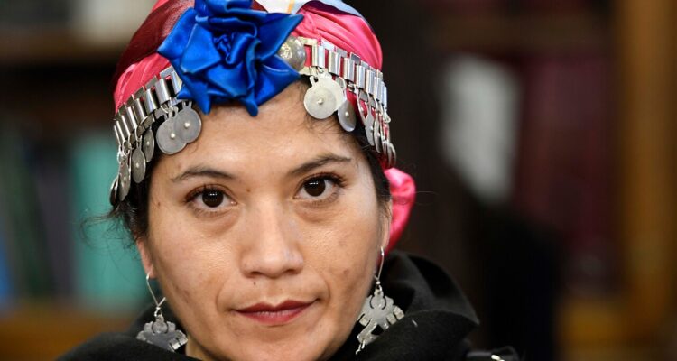 Ericka Ñanco en la comisión de RREE de la camara de diputados congreso nacional Valparaiso.