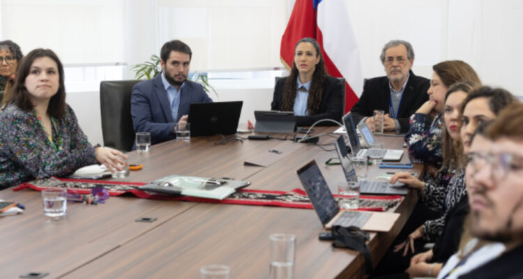 Los expertos que integran el comité que elabora protocolo de terapia hormonal para menores de edad