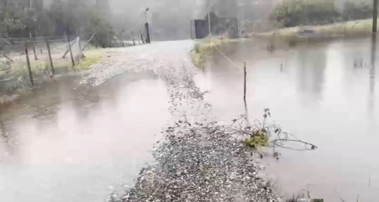 Captura de video |  Nicolás Silva – RBB Valdivia