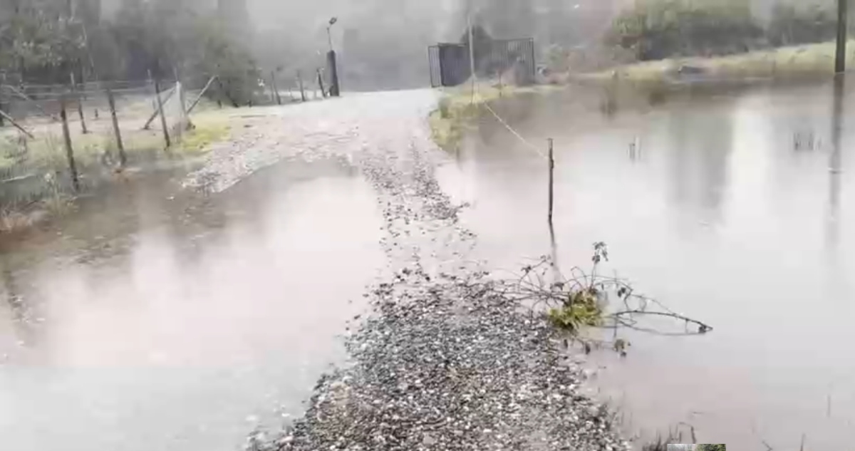 Captura de video |  Nicolás Silva – RBB Valdivia