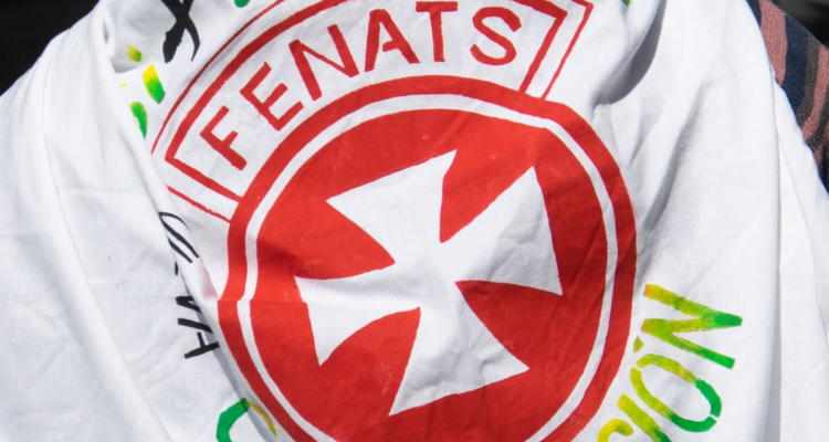 Bandera de la Fenats por paro nacional