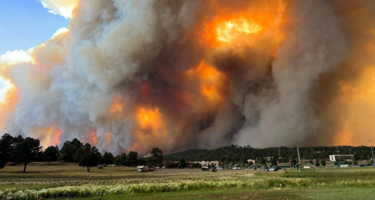 Las dramáticas imágenes de los incendios forestales que arrasan California: evacuaron a 7 mil personas